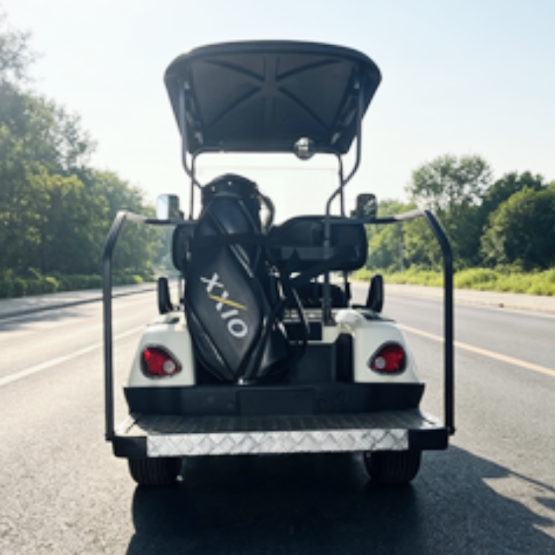 2026 New Launched 2 Seat 72V L - огляд і ціна Golf Bag Stand Cart