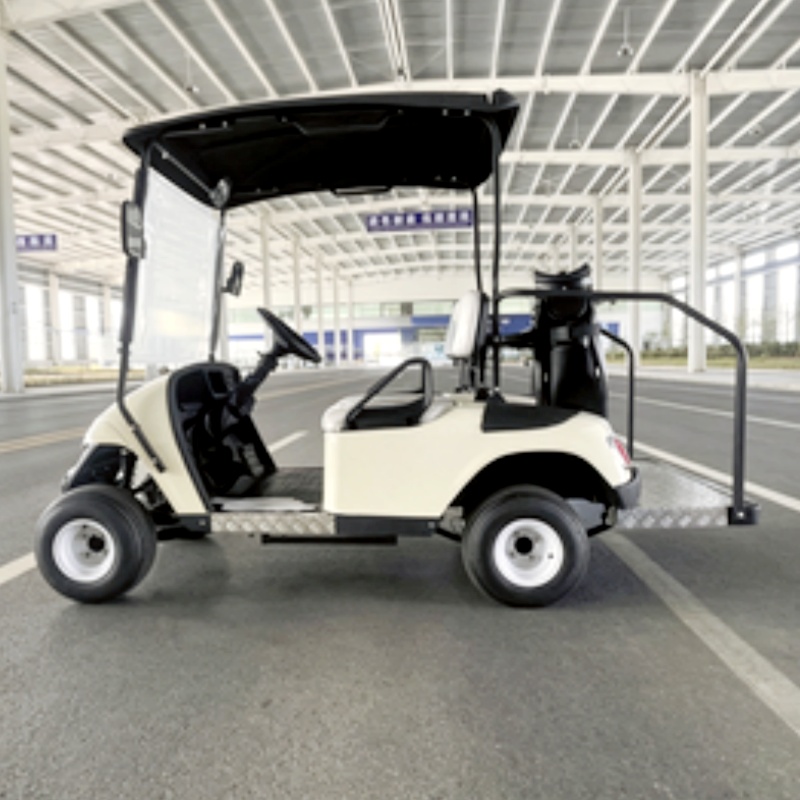 2026 New Launched 2 Seat 72V L - огляд і ціна Golf Bag Stand Cart