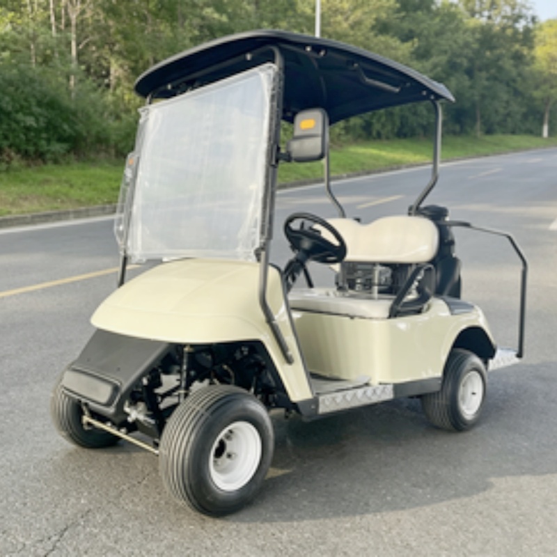2026 New Launched 2 Seat 72V L - огляд і ціна Golf Bag Stand Cart
