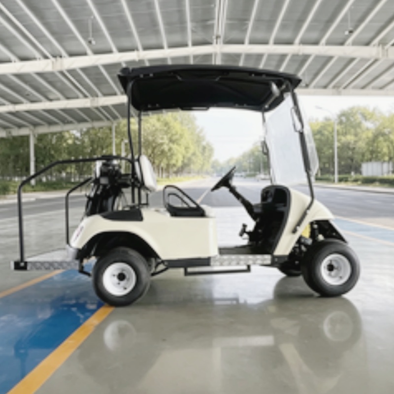 2026 New Launched 2 Seat 72V L - огляд і ціна Golf Bag Stand Cart
