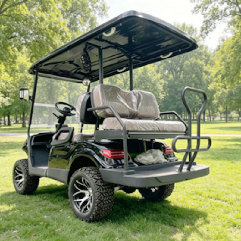 Golf Cart 2 Seater Electric Go - огляд і ціна Golf Bag Stand Cart