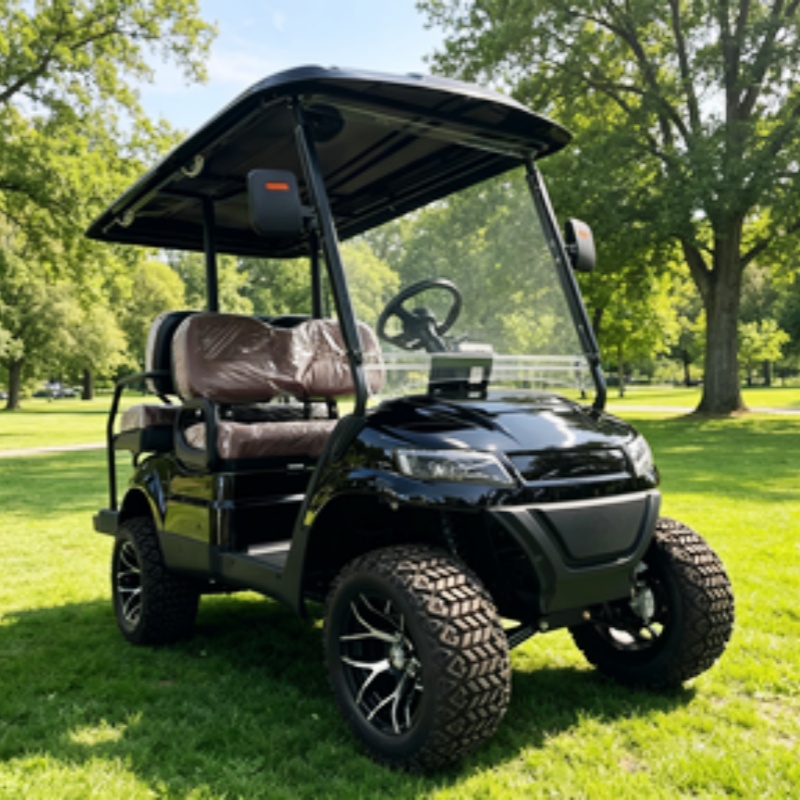 Golf Cart 2 Seater Electric Go - огляд і ціна Golf Bag Stand Cart