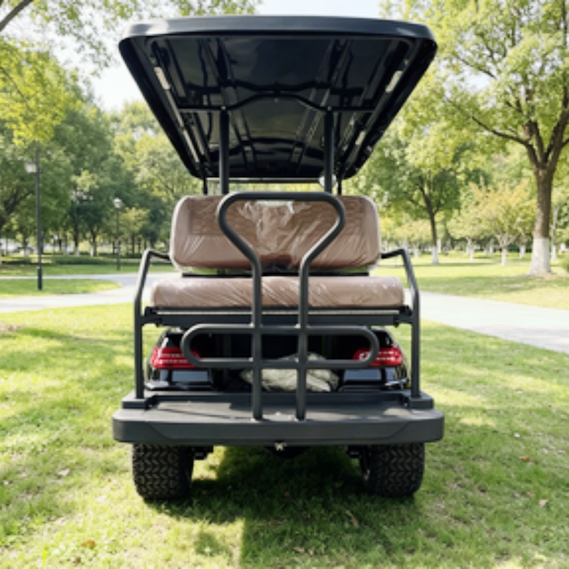 Street Legal Golf Cart Buggy S - огляд і ціна Golf Bag Stand Cart